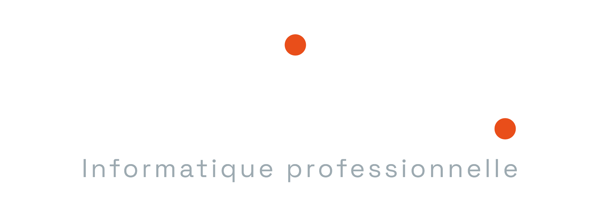 Smiléo — Informatique professionnelle